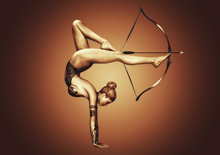 Bow and arrows 00325