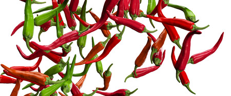Chili pepper 00313