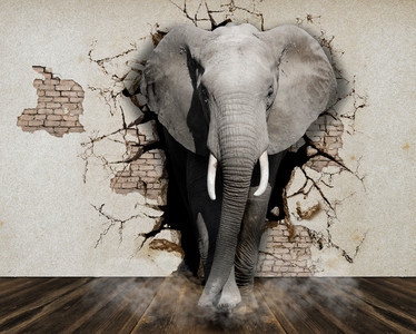 Elephant out of the wall. 3D 00843