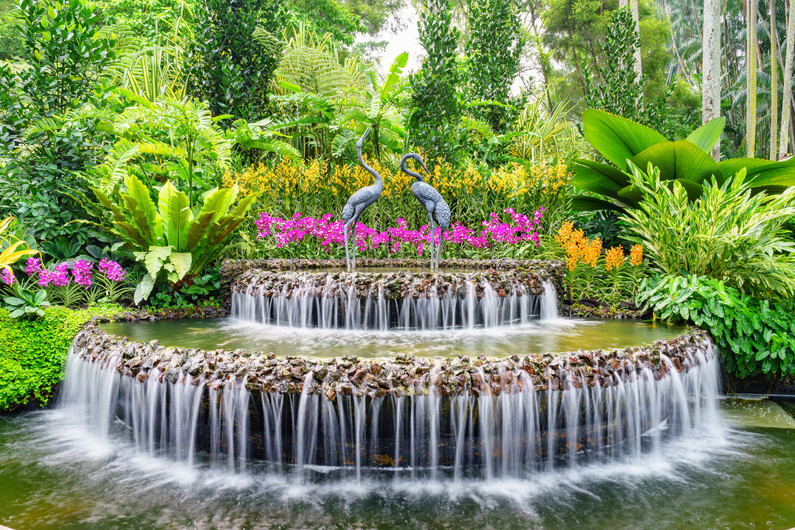 Fountain in Orchid garden of Singapore 00715