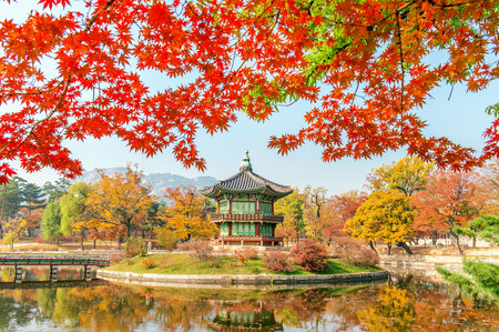 Gyeongbokgung Palace, Korea. 00989