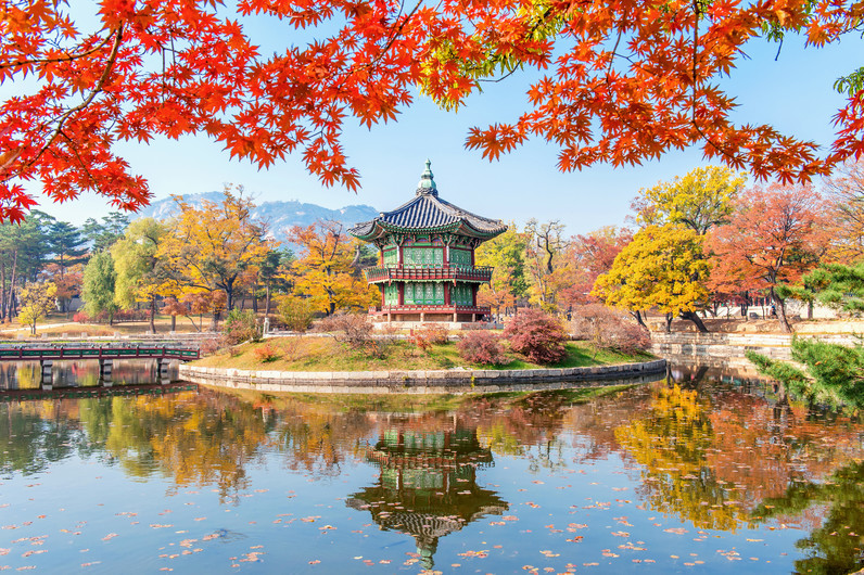 Gyeongbukgung autumn in Korea 00487
