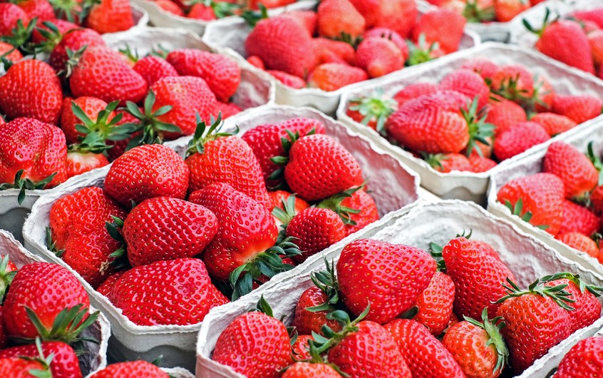 Lot of strawberries 00673