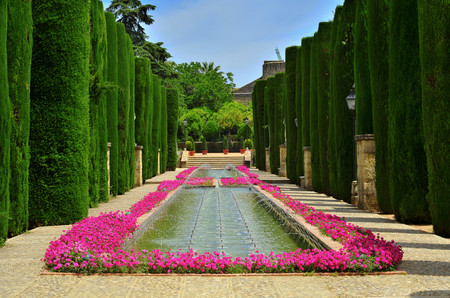 Patio de Los Reyes in gardens 00941
