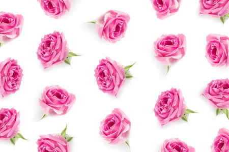 Pink rose background 00233