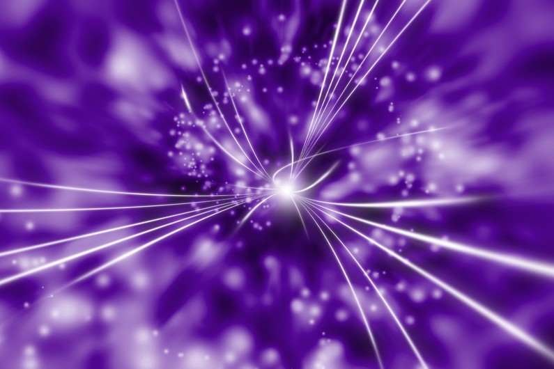 Purple dandelion 00071