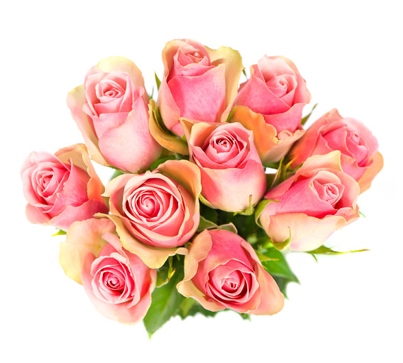 Rose flowers bouquet 00218